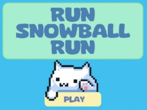 Snowball Run Arcade Runner