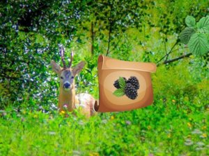 Return To Alsunga Forest Adventure