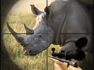 Safari Shooting Adventure Online