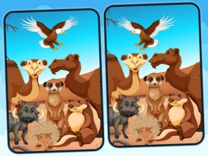 Desert Spot Differences Puzzle