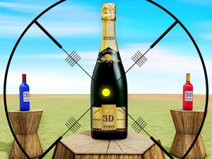 Bottle Shooting Arcade Challenge