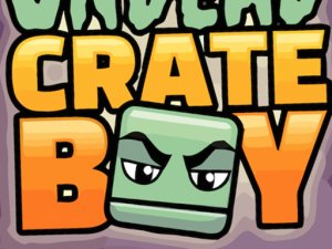 Crate Boy Arcade Game