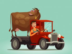 Kids Trucks Memory Match