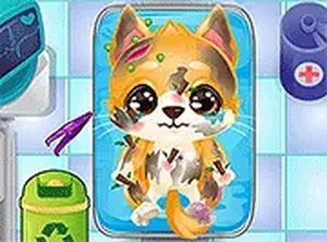 Doc HoneyBerry Puppy Surgery Vet Care
