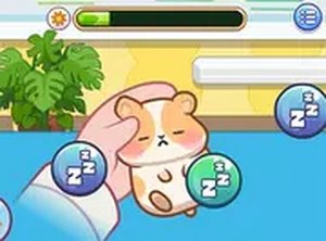 Sara Vet Life Hamster Care
