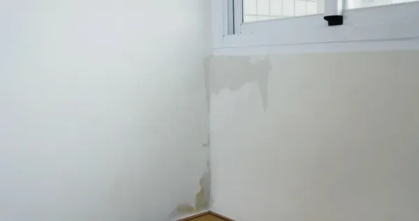 Water Stain Repair: Pro Painters Share the Right Way to Repaint and Prevent Recurrence