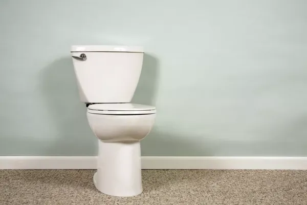 Master the Tight Squeeze: Painting Walls Behind a Toilet Without Removing It